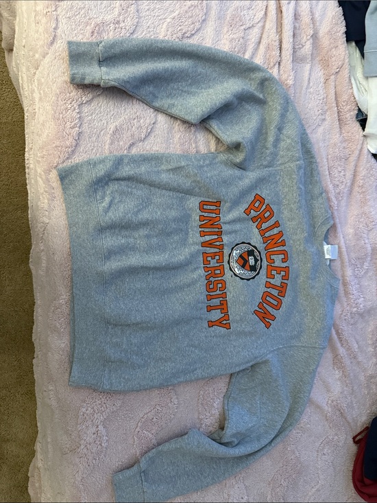 Champion Sweaters - Champion Gray Princeton University Crewneck Sweatshirt with Orange Logo